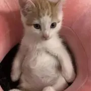 MM⭐︎の画像