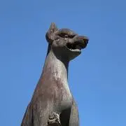 よろしくお願いしますの画像