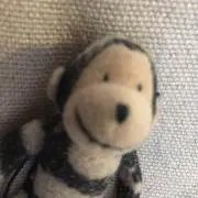 topiの画像