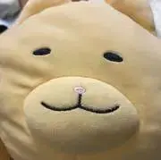ちょめの画像
