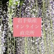 岩手県産オンライン直売所の画像
