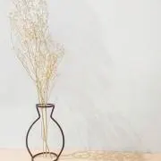 Haruの画像