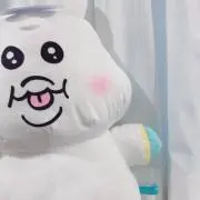 こちゃろーの画像