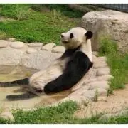 さくら【プロフ必読】の画像