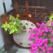 プロフ必読!!とっぴんぱらりのふう子♪の画像