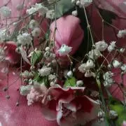 Aの画像
