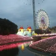 やんやんの画像