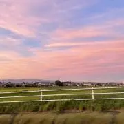 ホープ