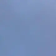 つくし