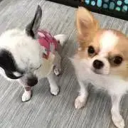 yyy☆ 【プロフ確認を】