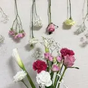 よひりの画像
