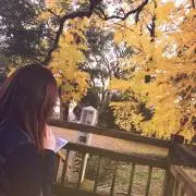 ゆん*自宅に猫がいますの画像