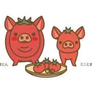みかん