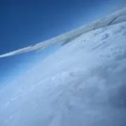 カンコの画像