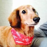 くう
