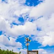 ggの画像