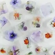 DaiFukuの画像