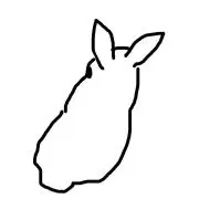 S Y