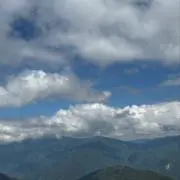 くらげの画像