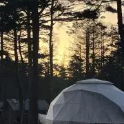 mikky7の画像