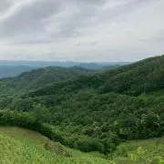 ABCの画像