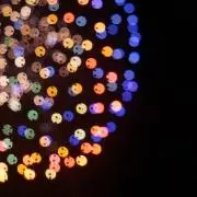 Funacoの画像