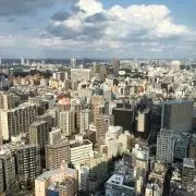yの画像