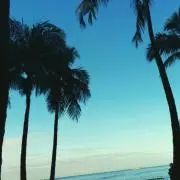ホリック