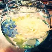 ☆blue☆の画像