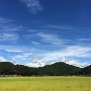 Nightの画像