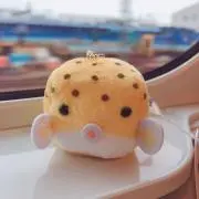 みんの画像