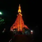 てっちゃまの画像