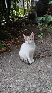 ドラえもん☆ドラみん