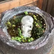 タケコ