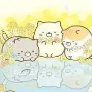 Jaro※プロフ必読の画像