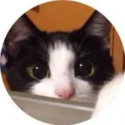 ☆むむ☆プロフィール★の画像
