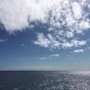 taaの画像