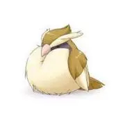 ハチタ