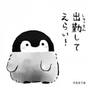 るーくす　即購入OKです！の画像
