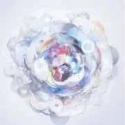 エソラの画像