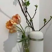 7歳3歳ママの画像