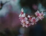 takaakiの画像