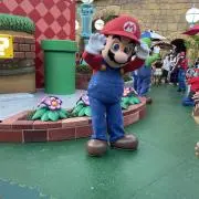 ぽめちゃんの画像