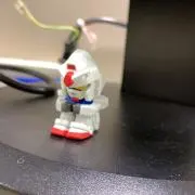 ぱこにゃんの画像