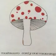pinokoの画像