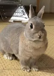 けいちゃんの画像