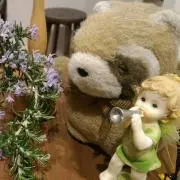 ちょびの画像