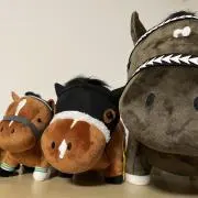 アーモンドの画像