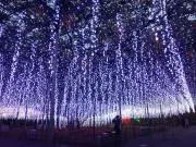 らら★の画像