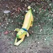 ドーナッツ☆の画像
